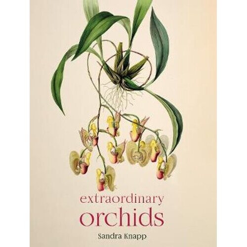 Extraordinary Orchids | Hardback