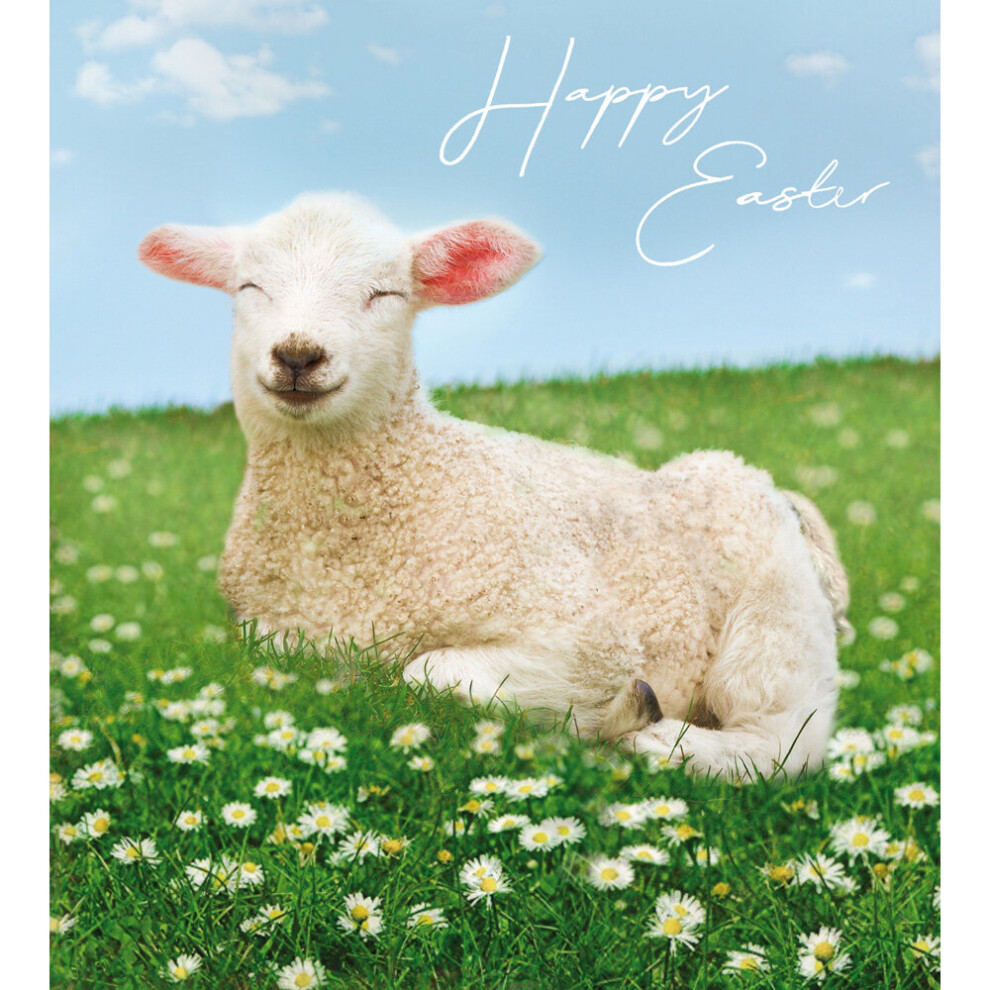 Pack of 5 Spring Lamb Happy Easter Greetings Cards In Same Mini Card Design