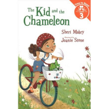 The Kid and the Chameleon Set #1 (the Kid and the Chameleon: Time to Read, Level 3) | Paperback