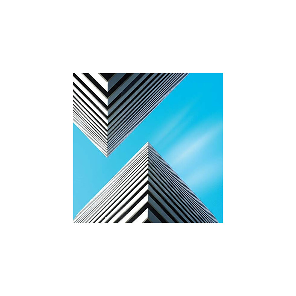 Snow Palms - Land Waves Small