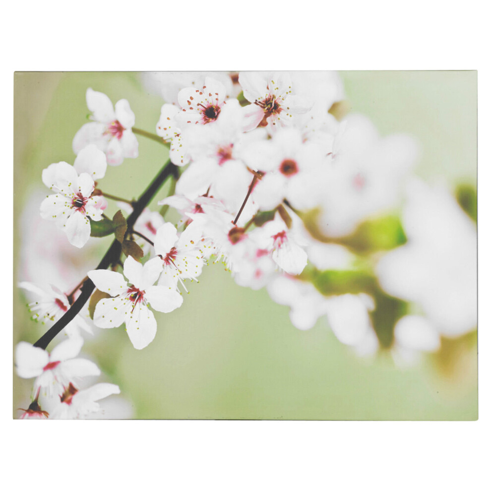 (Fleur De Pommier) Large Canvas Wall Decoration Floral Flowers Design