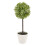 (Large, Green) 2pc Outdoor Artificial Boxwood Ball Trees 1