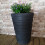 Samuel Alexander Medium Grey Charcoal Effect Garden Trojan Plant Pot 56cm Tall 38cm Wide 5