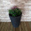 Samuel Alexander Medium Grey Charcoal Effect Garden Trojan Plant Pot 56cm Tall 38cm Wide 7