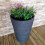 Samuel Alexander Medium Grey Charcoal Effect Garden Trojan Plant Pot 56cm Tall 38cm Wide 1