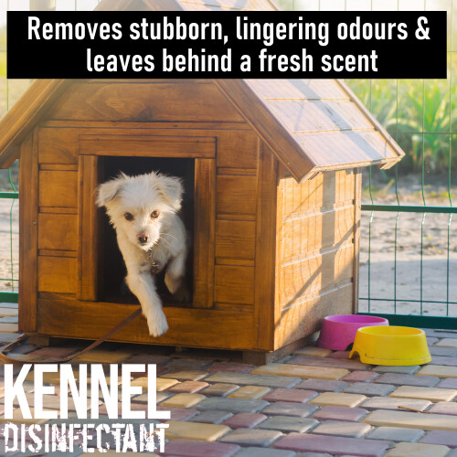 (20L, Lavender) Ultima Kennel Cleaner Disinfectant Deodoriser 1