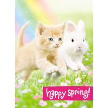 Avanti Cute Kitten & Bunny Easter Photo Greeting Card Funny Range Cards