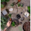 RootBox Large Plant Terrarium Kit in scented giftbox 7