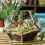 RootBox Large Plant Terrarium Kit in scented giftbox 6