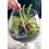 RootBox Large Plant Terrarium Kit in scented giftbox 4