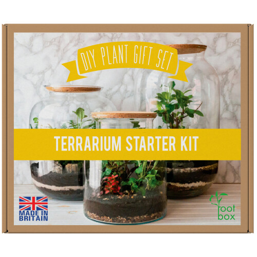 RootBox Large Plant Terrarium Kit in scented giftbox 1
