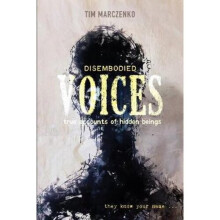 Disembodied Voices: True Accounts of Hidden Beings | Hardback
