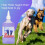 Peake Pet Care 150ml Soothing Ear Cleaner 3