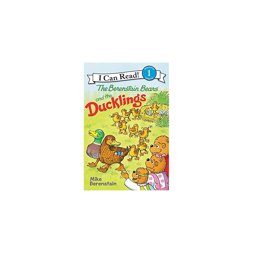 BERENSTAIN BEARS AND THE DUCKLINGS, THE
