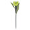 URBN Living (Green, 6 Lights) 6 Garden Tulip Shape LED Solar Powered Lights 1