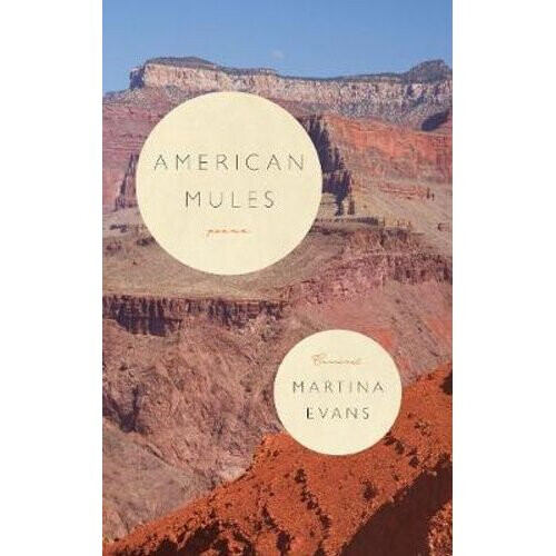 American Mules | Paperback