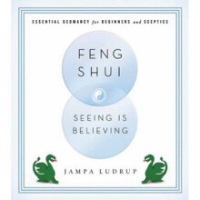 Feng Shui: Seeing Is Believing: Essential Geomancy for Beginners and Skeptics