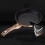 (Rose Gold) Berlinger Haus 10 Pc Cookware Set Induction 3