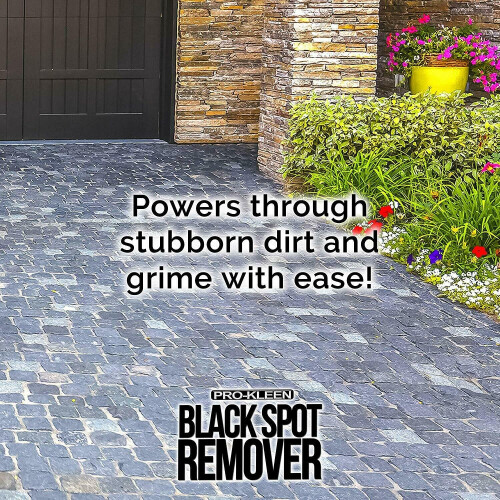 Pro-Kleen (10L) Pro-Kleen Path & Patio Black Spot Remover 1