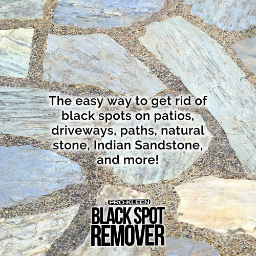Pro-Kleen (15L) Pro-Kleen Path & Patio Black Spot Remover 1