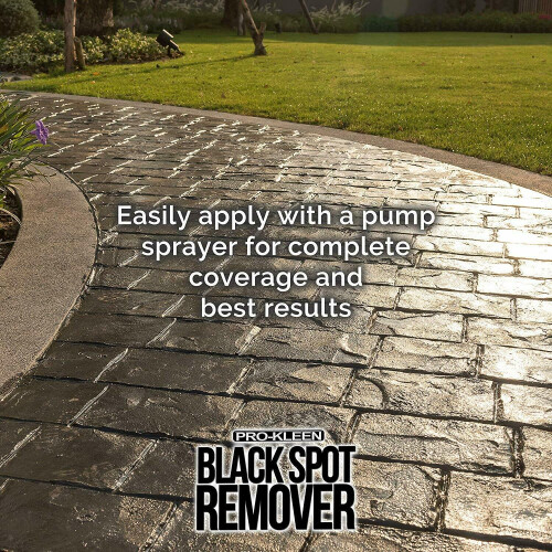 Pro-Kleen (10L) Pro-Kleen Path & Patio Black Spot Remover 2