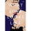 What Love Looks Like | Paperback 1