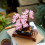 LEGO LEGO 10281 Creator Expert Bonsai Tree Set for Adults, Botanical Collection 4