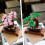 LEGO LEGO 10281 Creator Expert Bonsai Tree Set for Adults, Botanical Collection 3