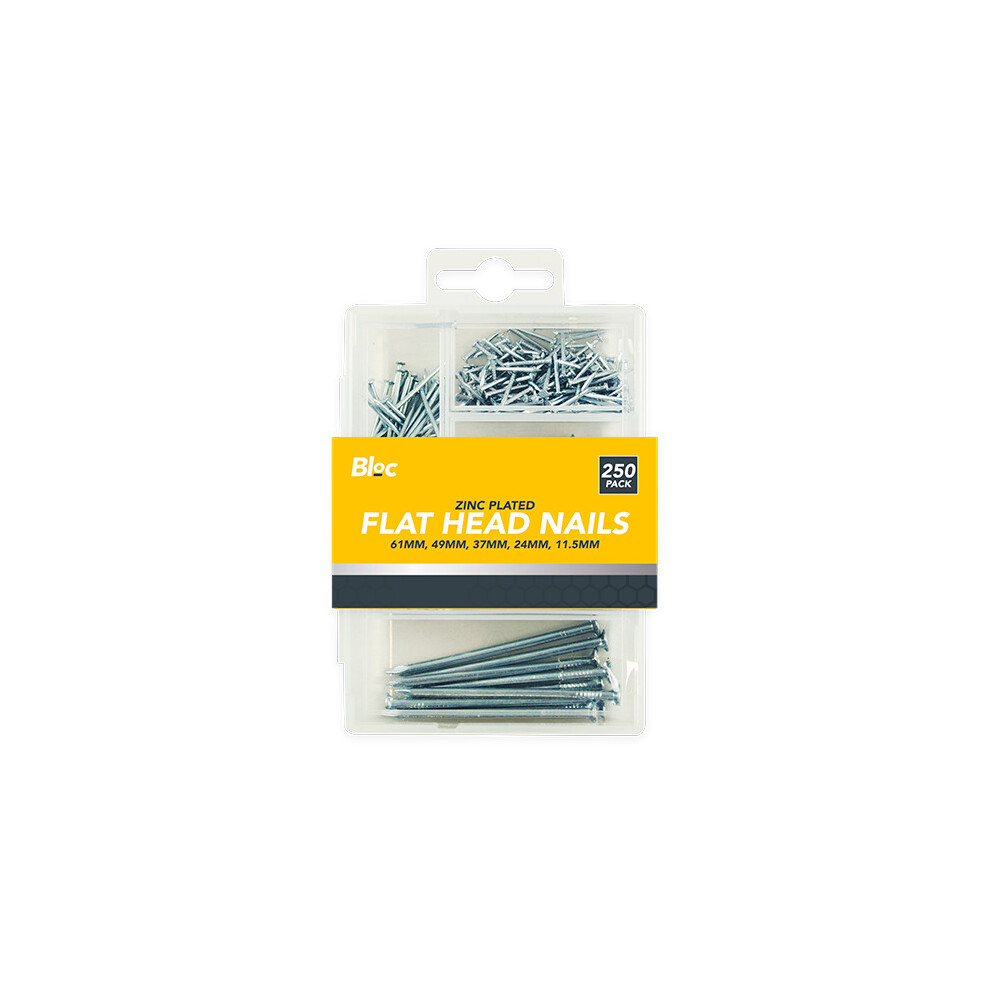 Assorted Flat Head Nails - 250 Pack