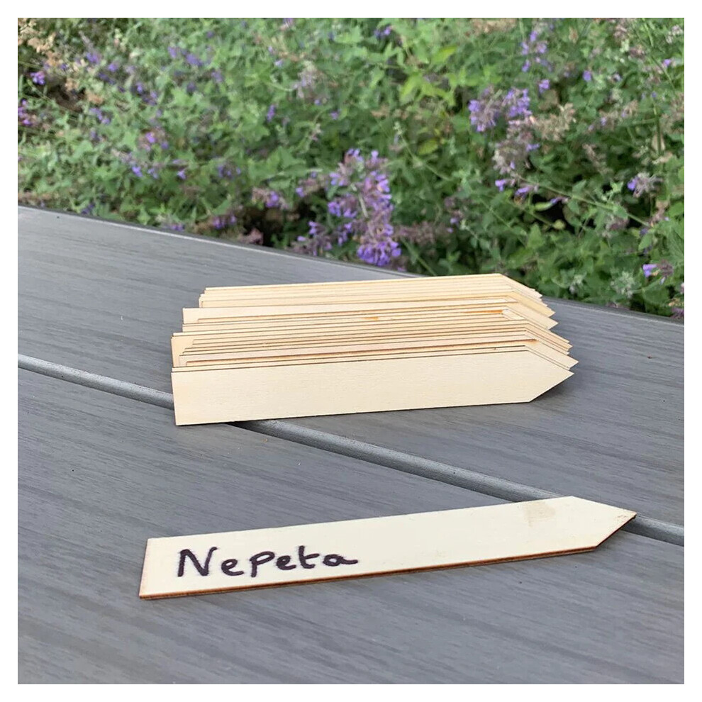 Westland (15Cm) Gardman Wooden Planting Point Stick Labels (20Pck)