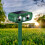 Solar Powered Cat Repellent for Outdoor Ultrasonic Cat Scarer 1
