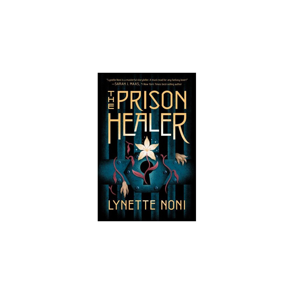 The Prison Healer | Hardback