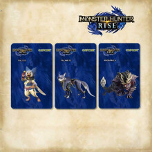(3 Rise Pattern 1) Monster Hunter Rise Amiibo Cards for Switch