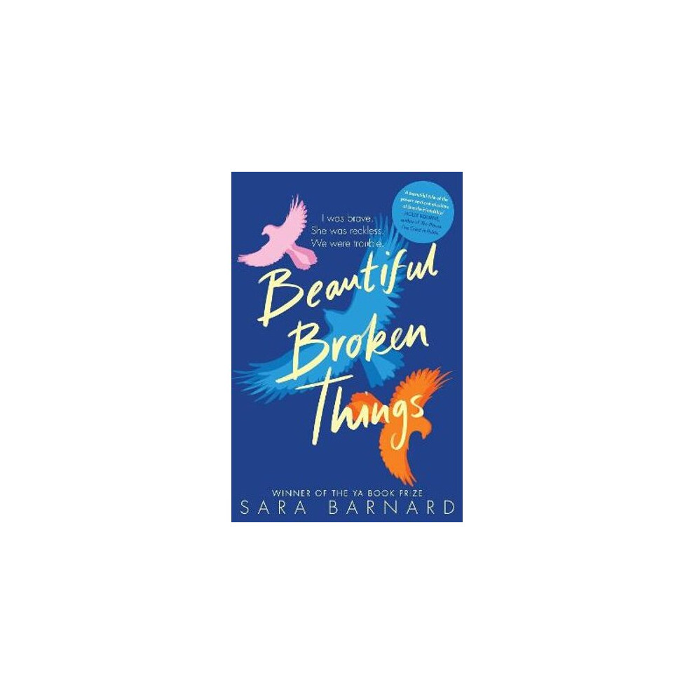Beautiful Broken Things | Paperback