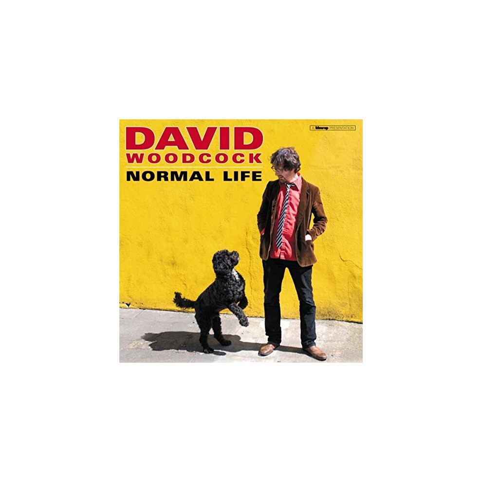 DAVID WOODCOCK - NORMAL LIFE