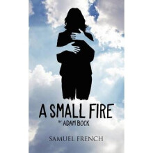 A Small Fire