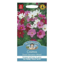 Mr Fothergills Pictorial Packet Flower Cosmos Dwarf Sensation Mixed Seeds