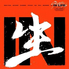 STRAY KIDS - IN LIFE (LIMITED) [CD]