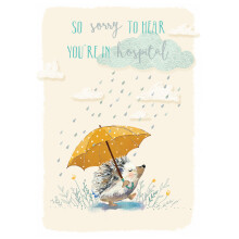 Sorry You're In Hospital Greeting Card The Wildlife Range Cards