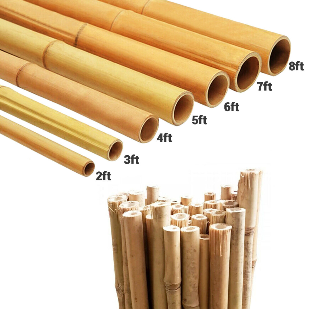 (Bamboo Canes - Strong Heavy Duty - Plant Support - Eco-Friendly - Garden Stakes - Smooth Surface - Multipurpose Use â Li) Bamboo Canes Heavy Duty M