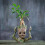 (A) Baby Groot flower pot / pen holder desktop decor 6