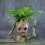 (A) Baby Groot flower pot / pen holder desktop decor 5
