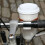 Becherhalter - Kikkerland - Braun - Echtes Leder - Freizeitrad - Unisex 2