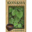 Kava-Kava: Sacred Healing Brew 1