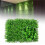 Artificial Eucalyptus Plants Green Wall Decor 3