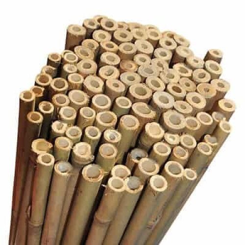 (3ft, 40) Elixir Gardens Strong Heavy Duty Professional Bamboo Plant Support Garden Canes | 2ft - 10ft
