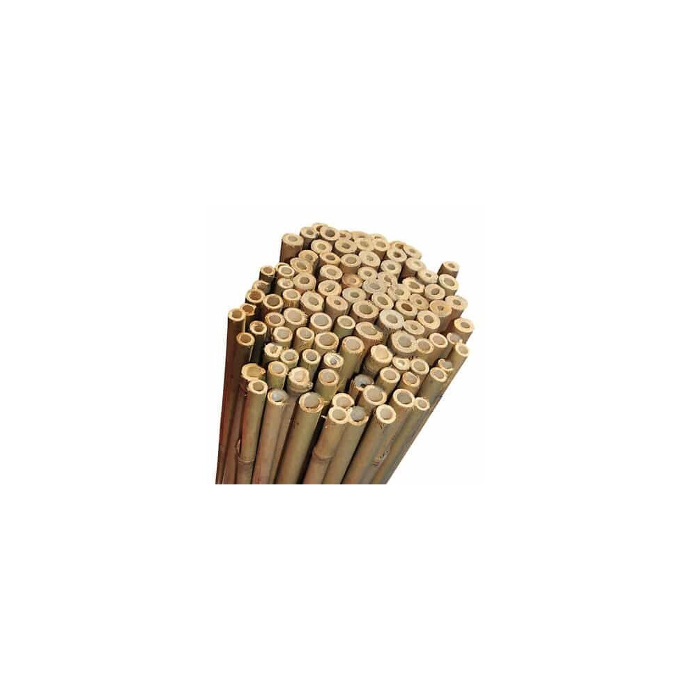 (7ft, 200) Elixir Gardens Strong Heavy Duty Professional Bamboo Plant Support Garden Canes | 2ft - 10ft