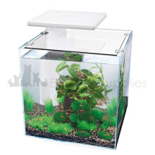 Super Fish QUBIQ 30 - WHITE