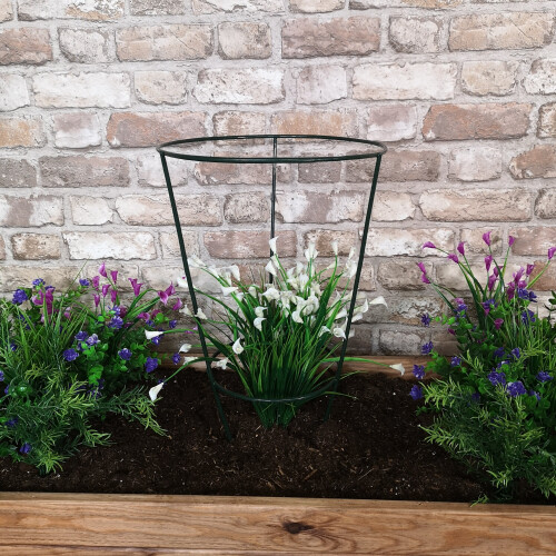Samuel Alexander Tom Chambers Urban Green Conical Garden Plant Support Ring 30cm -  Medium 2