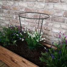 Tom Chambers Urban Green Conical Garden Plant Support Ring 30cm - Medium